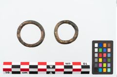 Foto von Bronzering (NHMW-PRAE-025287)
